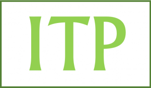 Institut für Transzendentalphilosophie und Phänomenologie